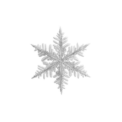 snow flake icon